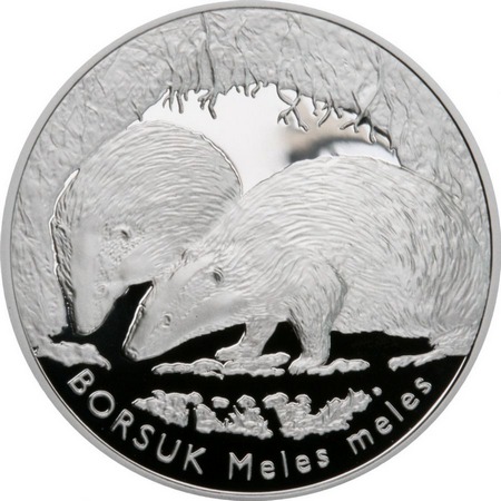 Zwierzęta świata - Borsuk